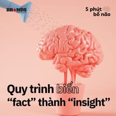 5 phút bổ não #4: Quy trình biến fact thành insight