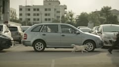 Kiatnakin Bank: The Dog