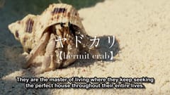 Suumo: Shell we move