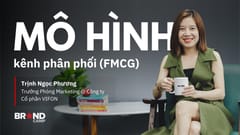 Mô hình kênh phân phối FMCG