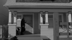 PEDIGREE: The Walk Commercial