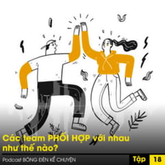 Quản trị Sáng tạo: Các team phối hợp với nhau như thế nào?