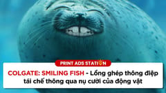 COLGATE: Smiling Fish - Lồng ghép thông điệp tái chế thông qua nụ cười của động vật