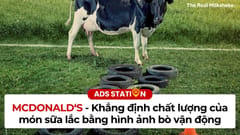 McDonalds - The real milkshake - Khẳng định chất lượng của món sữa lắc bằng hình ảnh bò vận động