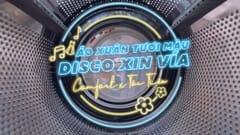 MV Tết 2023 Comfort: Áo xuân tươi màu, disco xin vía