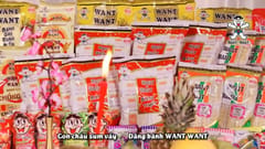 TVC Tết 2024 của Want Want