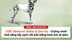 TIDE: Removes Stains In One Go - Chứng minh công dụng tẩy sạch vết bẩn bằng hình ảnh ví von dí dỏm