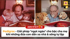 Pedigree - Giải pháp ngọt ngào cho bậc cha mẹ khi những đứa con dần xa nhà & sống tự lập
