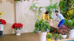 TVC Tết 2020 Aba: Quà Tết cho mẹ chồng