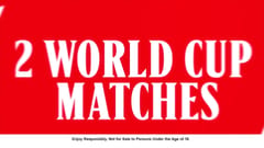 Diện mạo của Budweiser mùa World Cup 2022