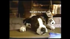 MasterCard Priceless: Lost Dog (P1) (2004)