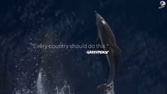 Case Film Palau Pledge Project