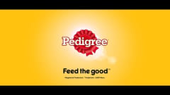 TVC PEDIGREE - Scared