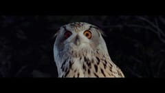 TVC IKEA: Forest (2014)