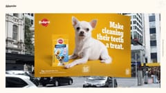 Case Film: “Adopted. by Pedigree”