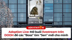 Adoption Live: Mở buổi livestream trên DOOH để các boss tìm sen mới cho mình