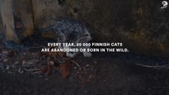Case Film Musti Group: Adoption Live