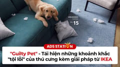 “Guilty Pet” - Tái hiện những khoảnh khắc “tội lỗi của thú cưng kèm giải pháp từ IKEA