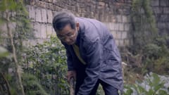 Phim Tết 2016 của Bia 333