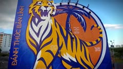 TVC: Bức tường Tiger 2017
