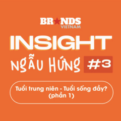 Insight Ngẫu Hứng #3.1: “Nam giới đối mặt khủng hoảng tuổi trung niên khi gặp những cú thức tỉnh và nỗi lo dồn dập