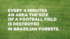 TVC WWF: Deforested Field