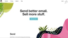 Chiến dịch “Did you mean MailChimp?”