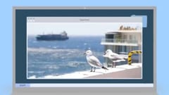 Case Film Cape Town Tourism: Facebook Holiday