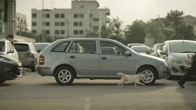 Kiatnakin Bank: The Dog