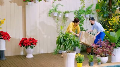 TVC Tết 2020 Aba: Quà Tết cho mẹ chồng