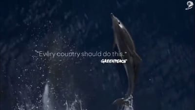 Case Film Palau Pledge Project
