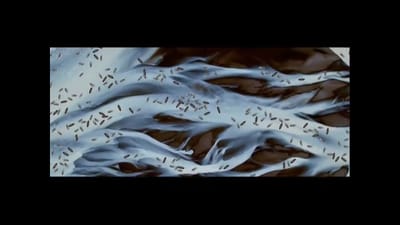 TVC Vaseline: Sea (2006)