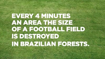 TVC WWF: Deforested Field