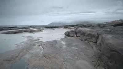 TVC WWF: “Bamboseal”