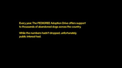 Case Film Pedigree: “Donation glasses” - Ý tưởng sáng tạo kêu gọi gây quỹ cứu trợ động vật