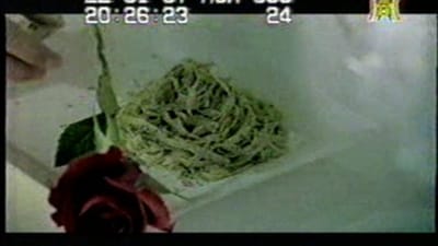 TVC Ponds: 7 ngày để thấy tình yêu trở lại. (2007) P.8